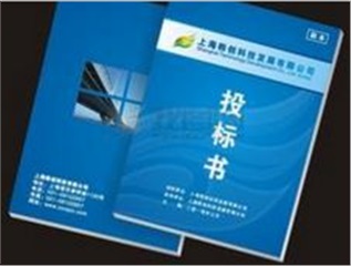 《項(xiàng)目型銷售策略與招投標(biāo)技巧（2017年新版）》