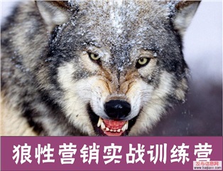 《狼性營銷實(shí)戰(zhàn)訓(xùn)練營》